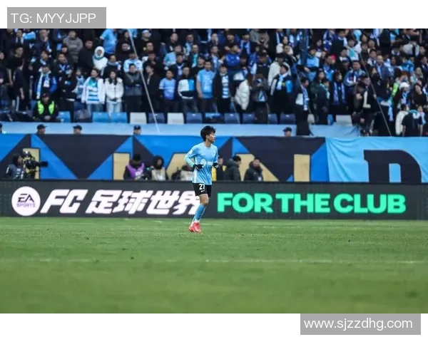 足球场上球星与球迷的差异与共鸣探讨